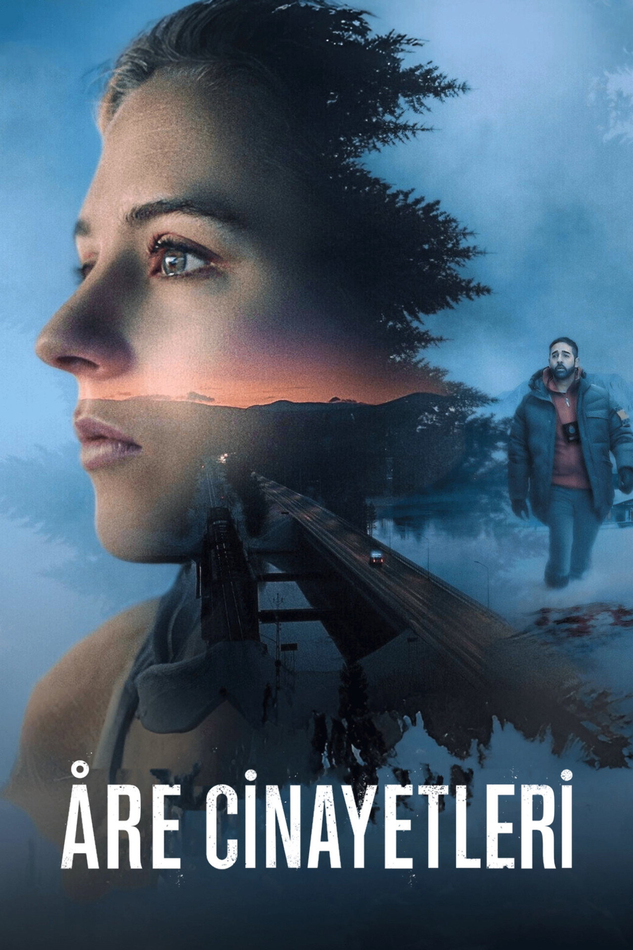 Åre Cinayetleri Poster