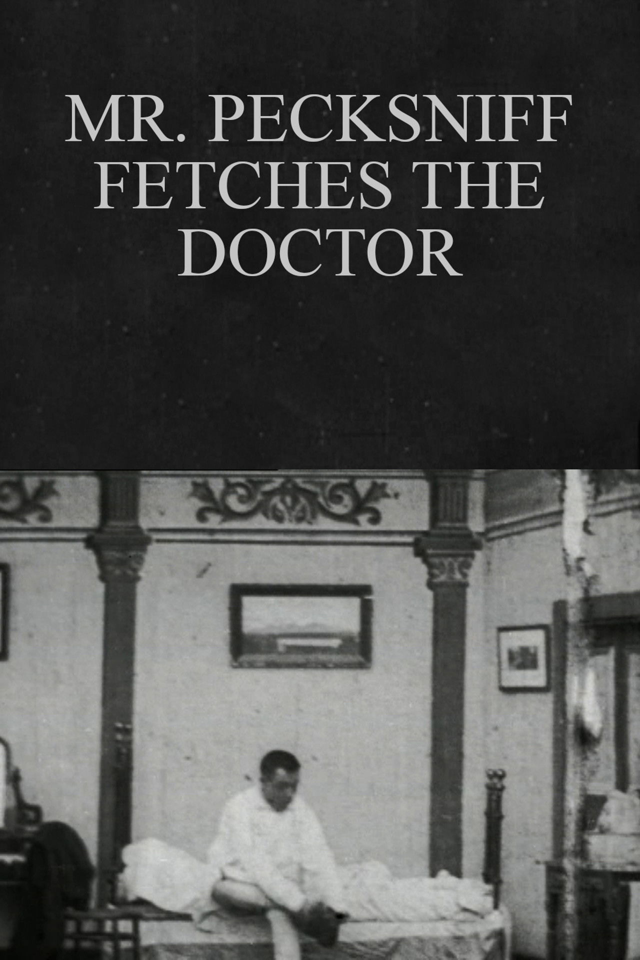 Mr. Pecksniff Fetches the Doctor poster
