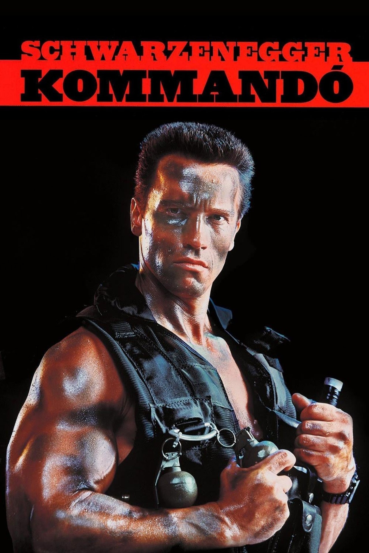 commando 1 movie download 720p commando 1 movie download 720p