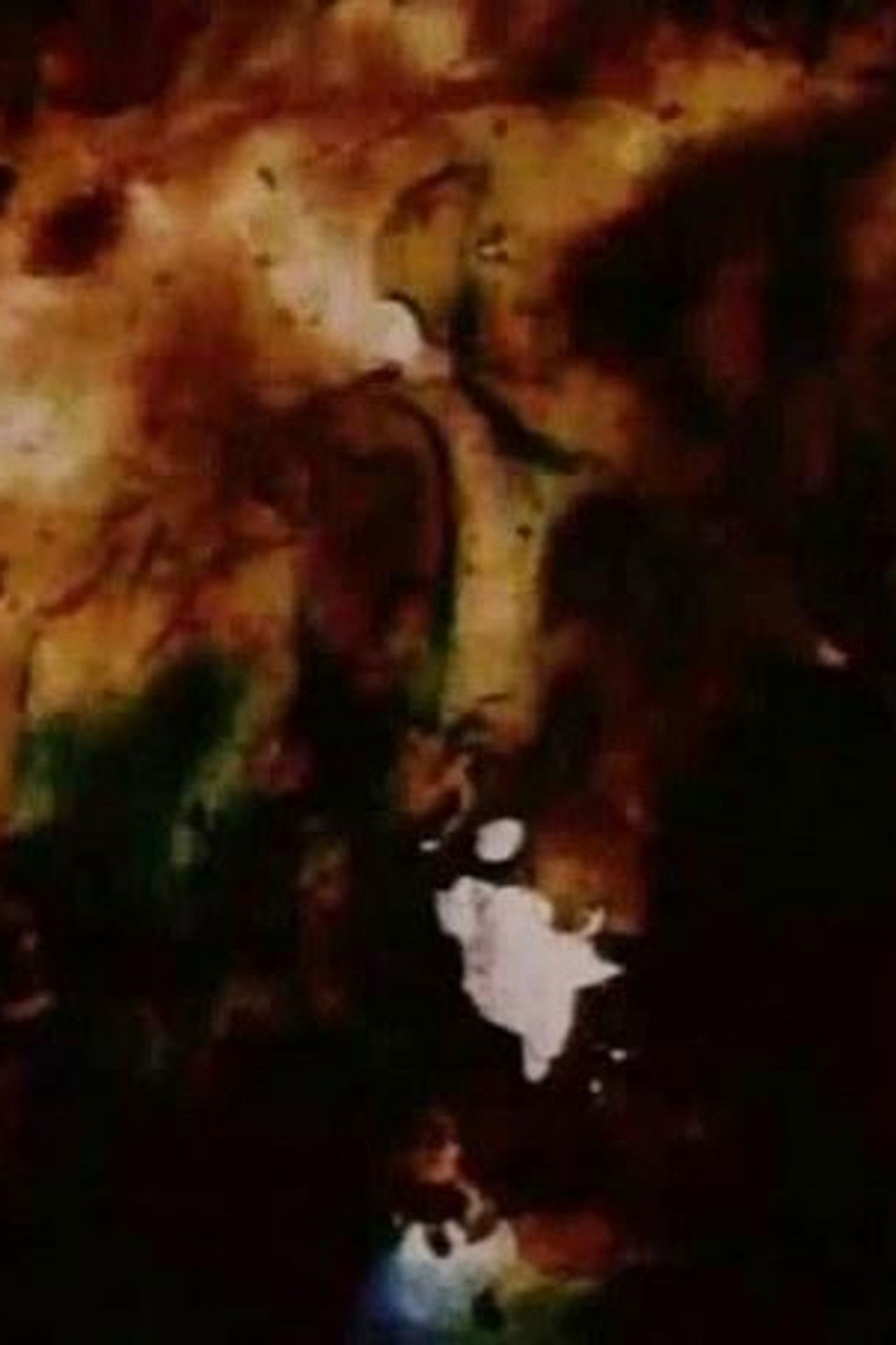 Persian Series #5 Backdrop