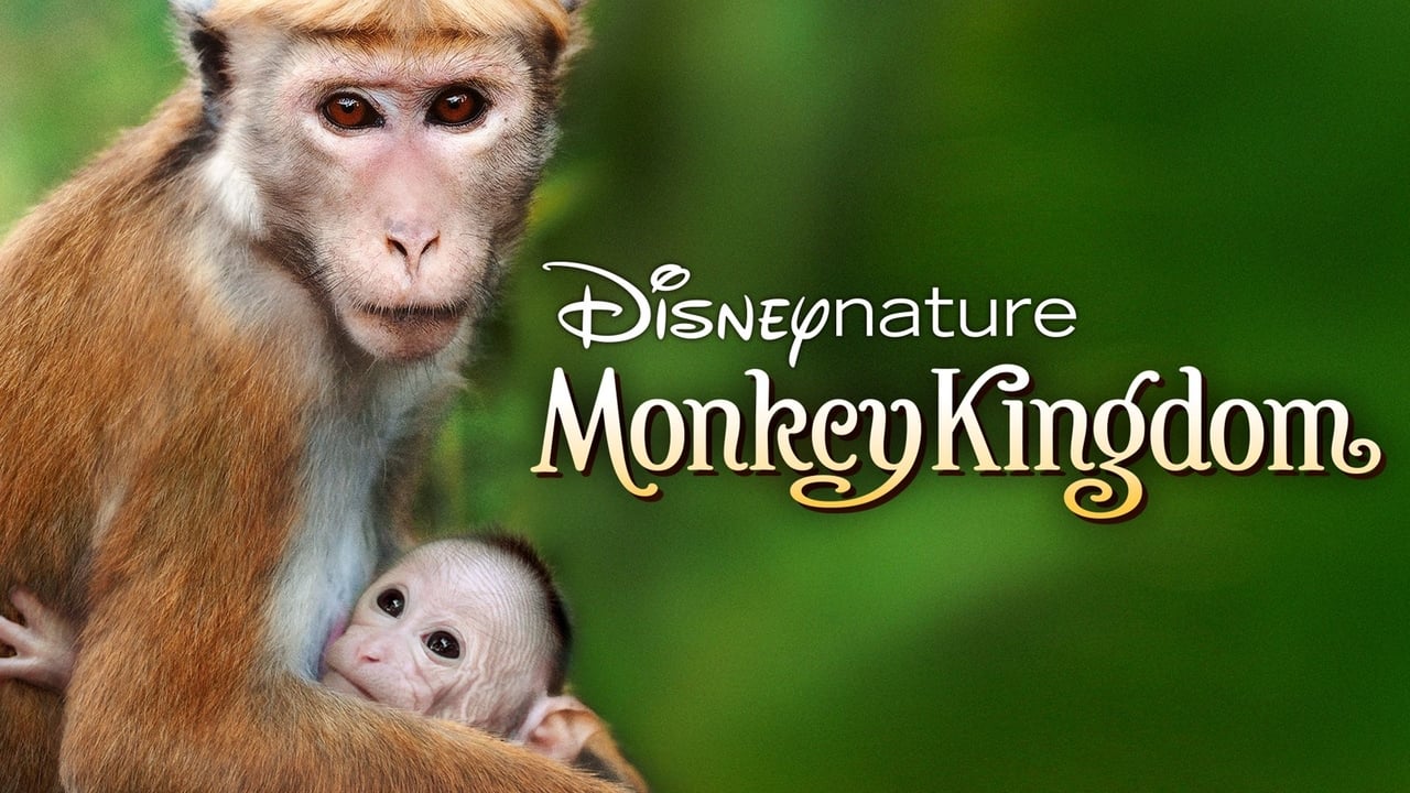 Monkey Kingdom background