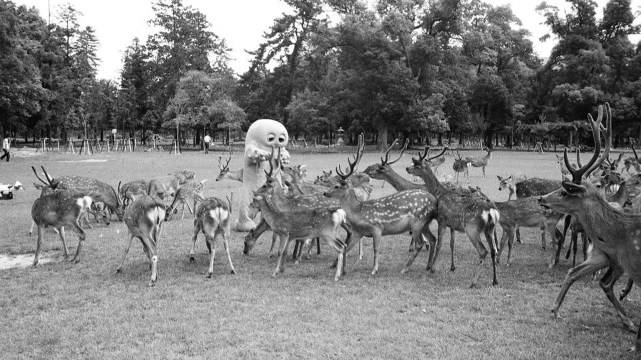 Hirake! Ponkikki backdrop image