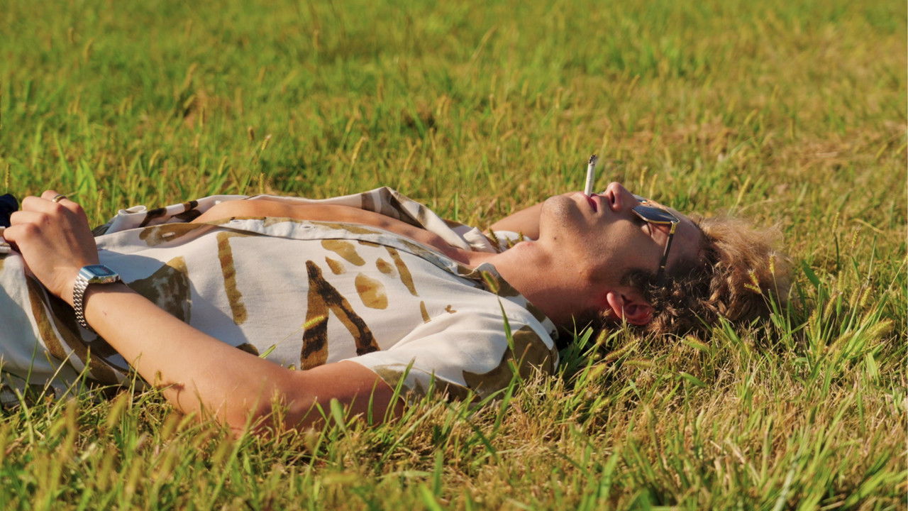 'Mr. Paradise' Backdrop