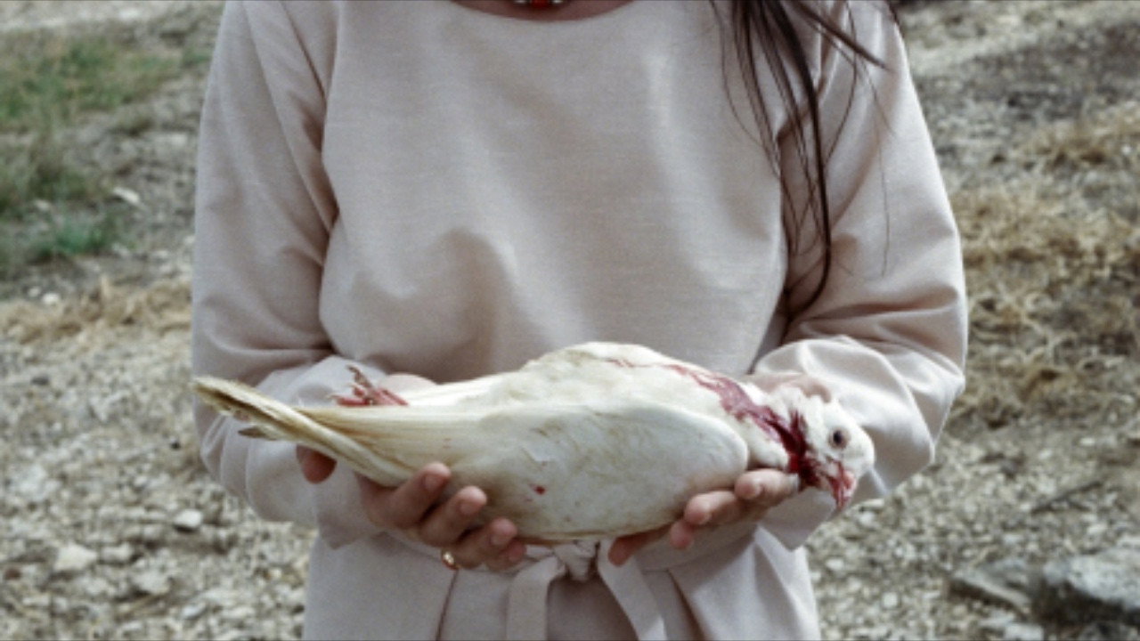 Filmgalerie — 31
