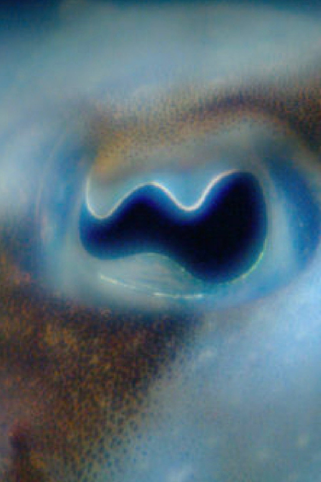 Anywhen In a Time Colored Space filmaffisch