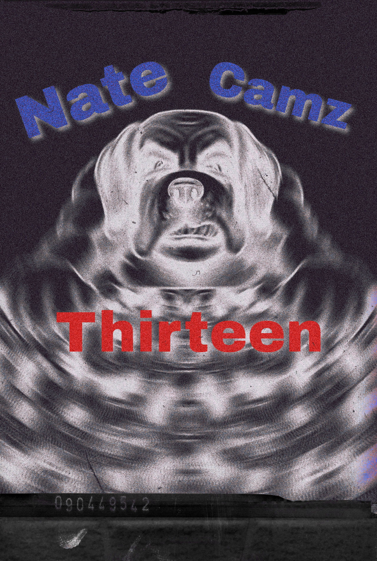 Natecamz 13