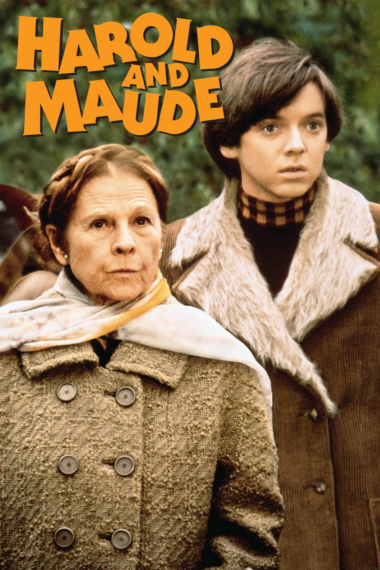 Harold ve Maude afişi