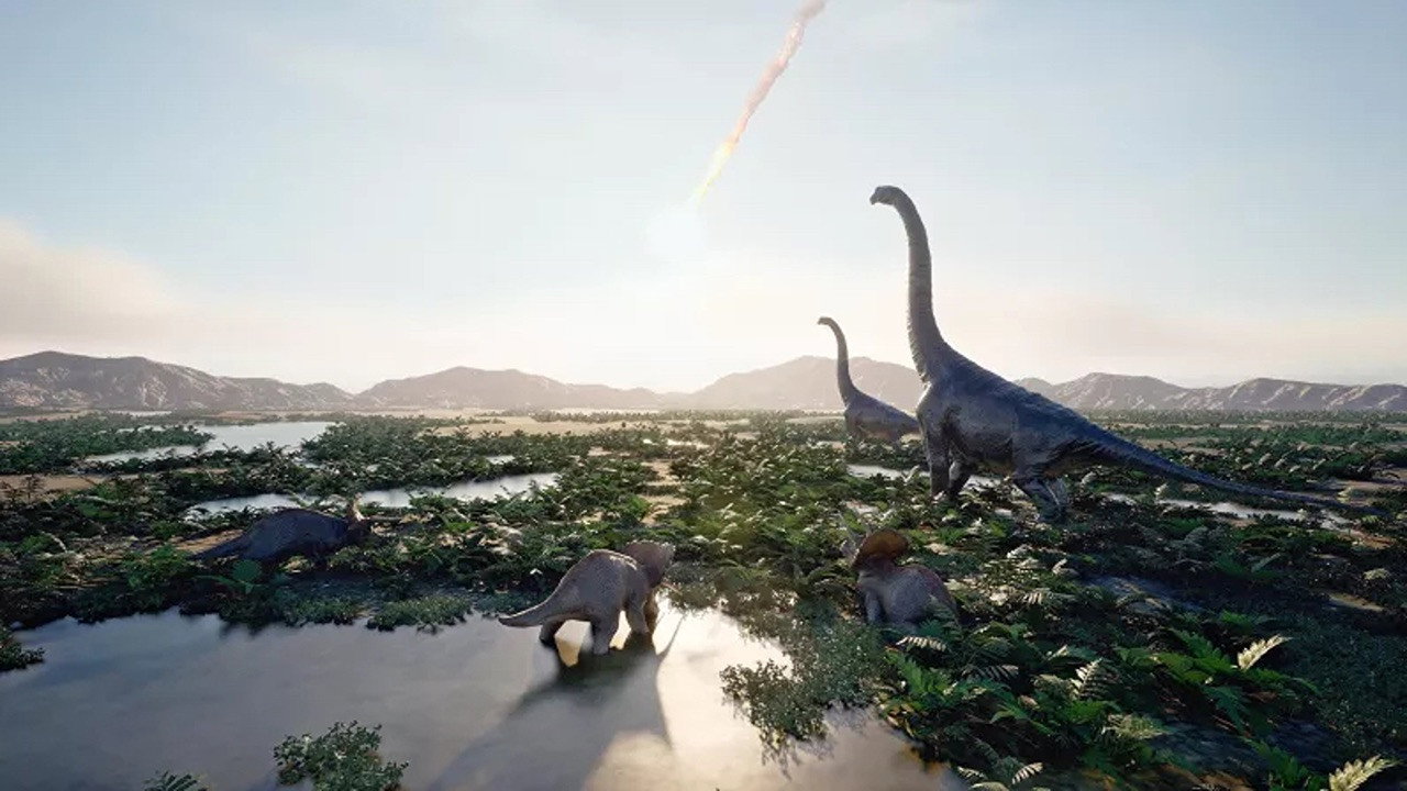 La fabuleuse histoire des oiseaux, des dinosaures parmi nous still 8