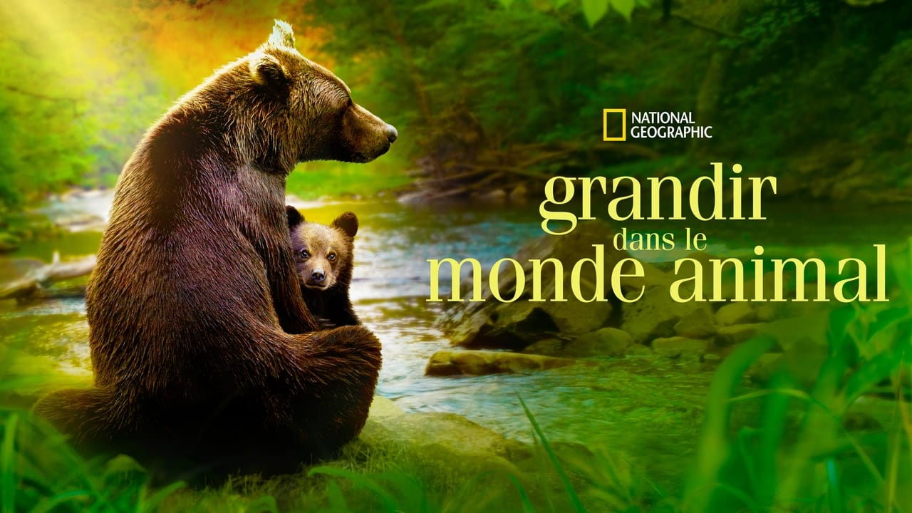 Grandir dans le monde animal background