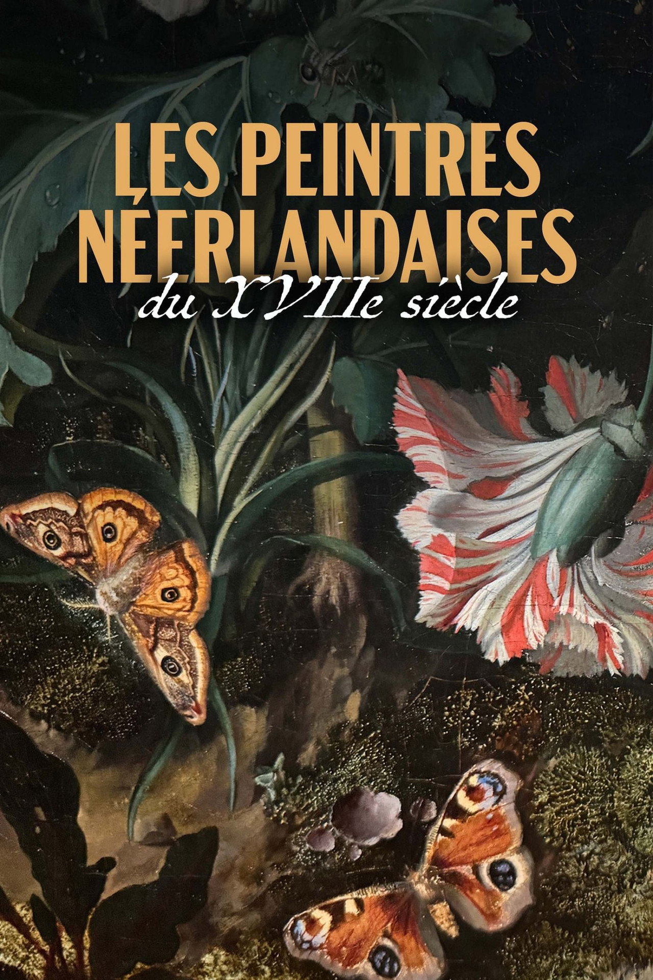L’art et la nature : Peintres néerlandaises du XVIIᵉ siècle