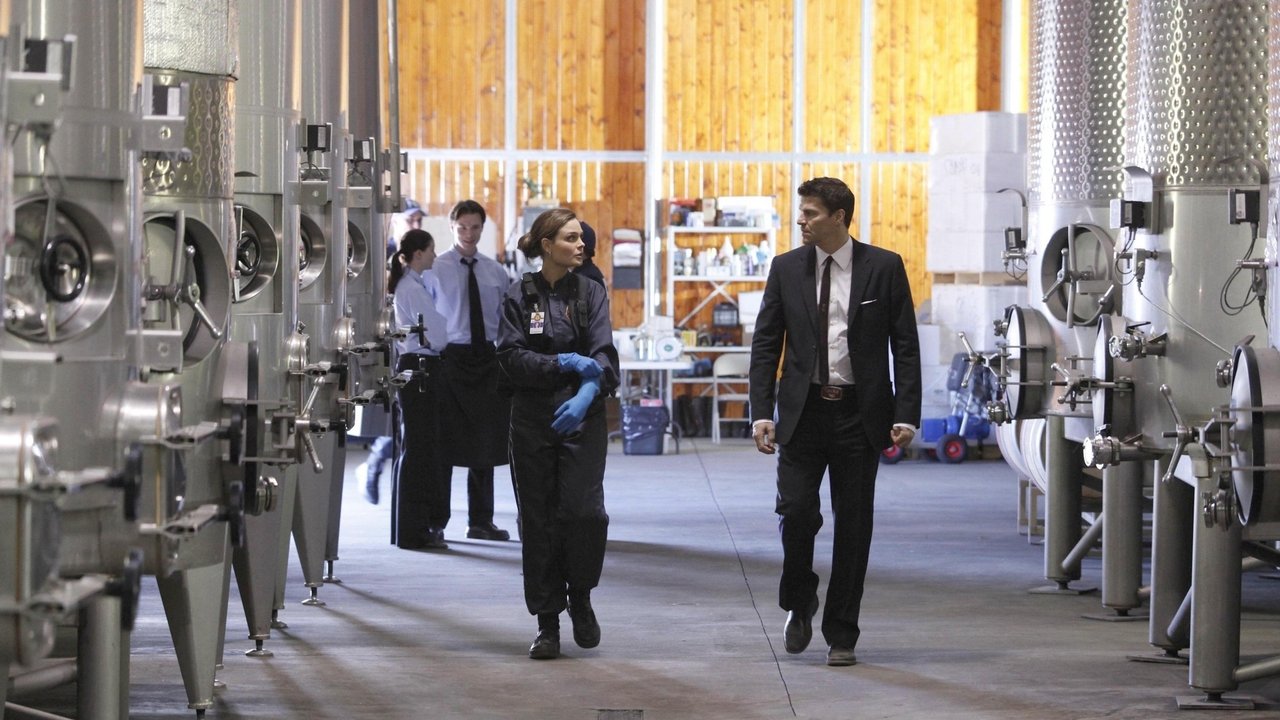 Bones - Season 4 Episode 25 : The Critic in the Cabernet