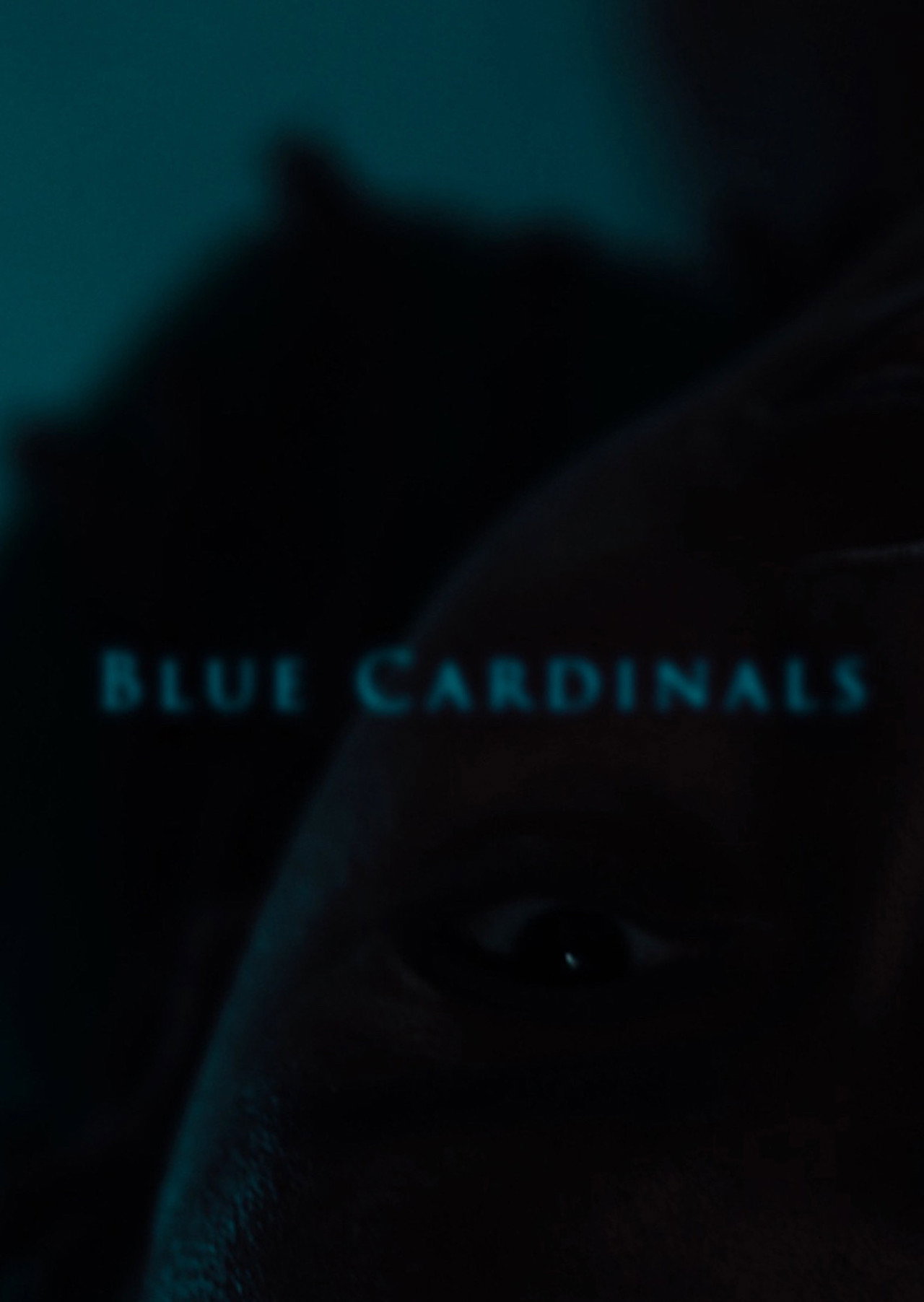 Blue Cardinals filmaffisch
