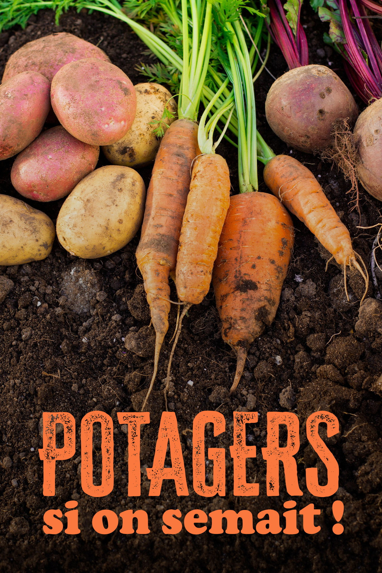 Potagers : Si on semait ! filmaffisch