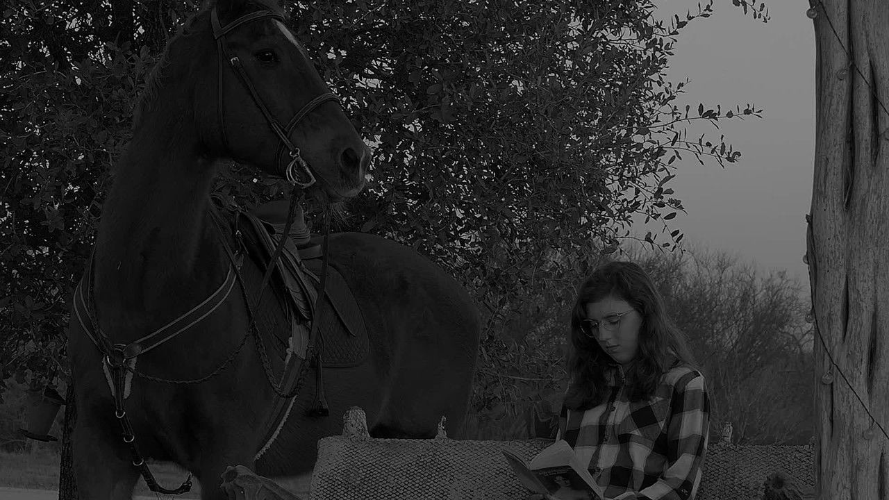 Wanted Guest backdrop