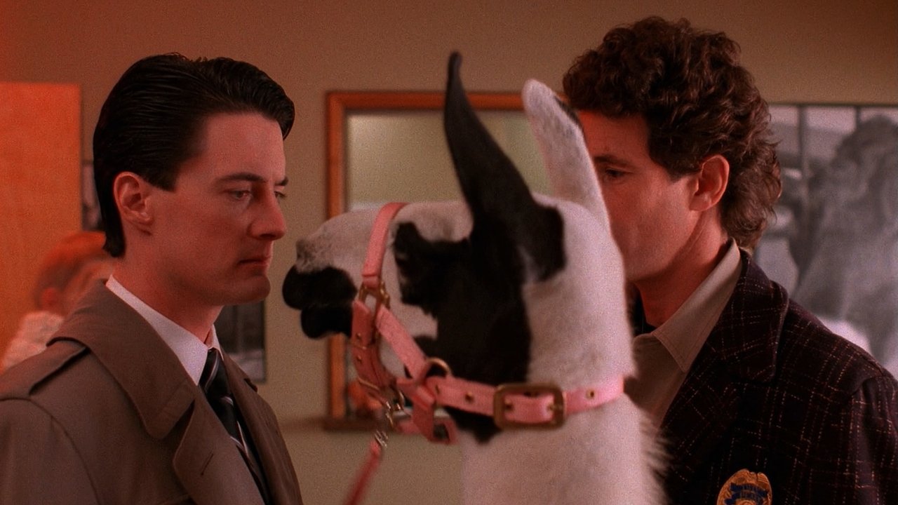 Twin Peaks - Season 1 Episode 5 : The One-Armed Man