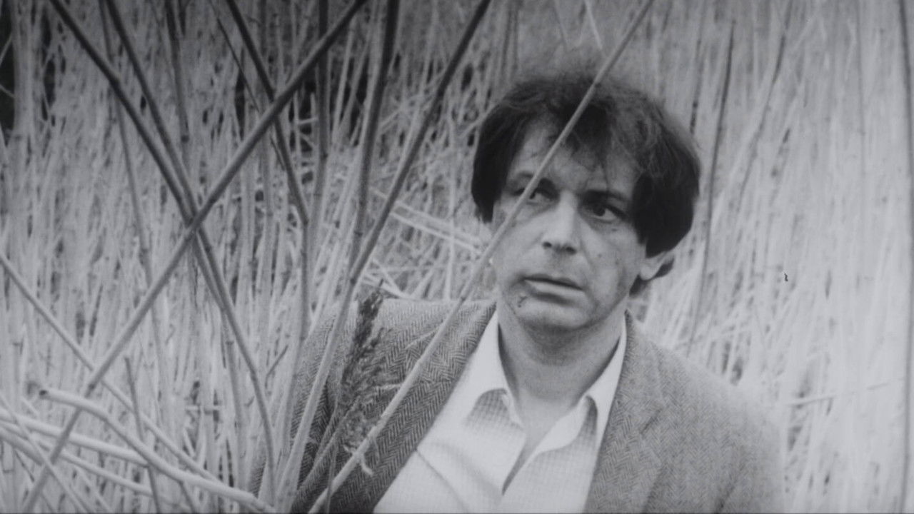 Daddy, Father Frost Is Dead backdrop