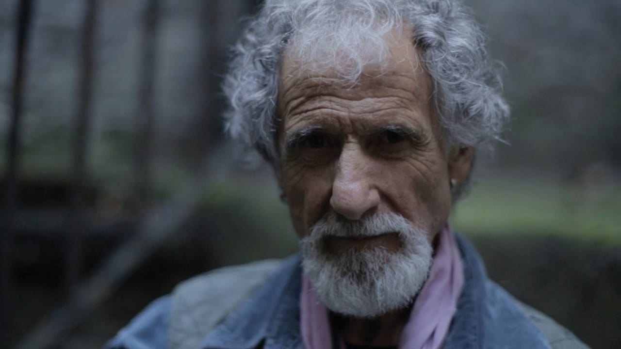 Scen från Frank Serpico