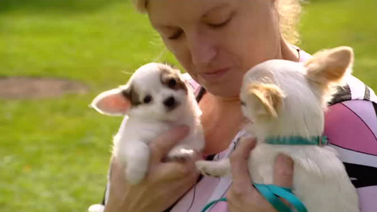 De Pfaffs — Épisode 5