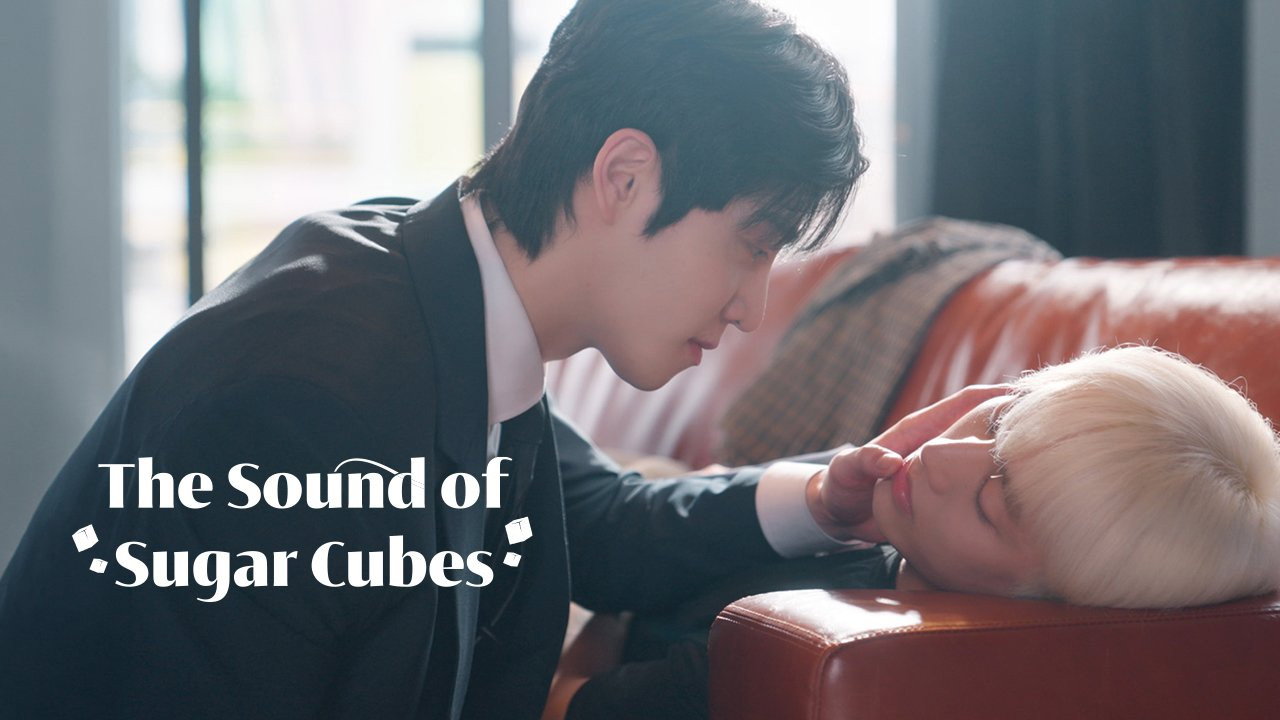 The Sound of Sugar Cubes still 5