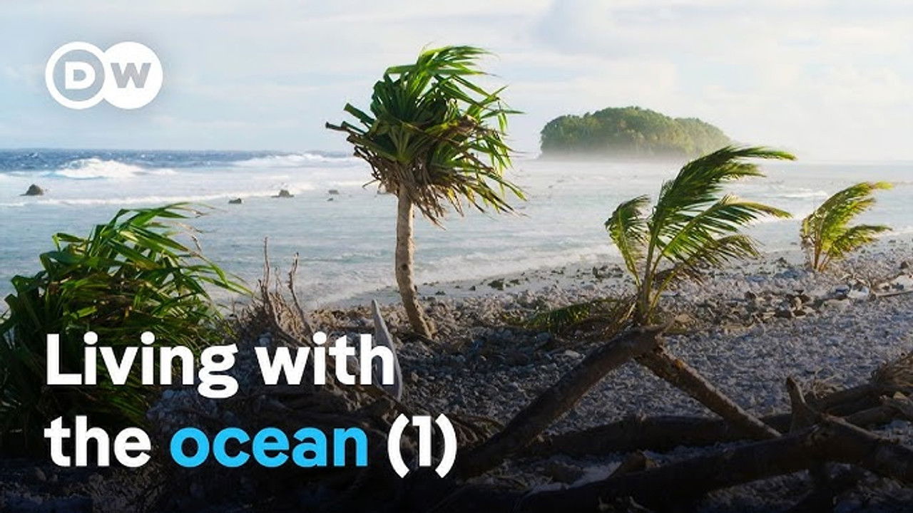 DW Documentary — Épisode 102