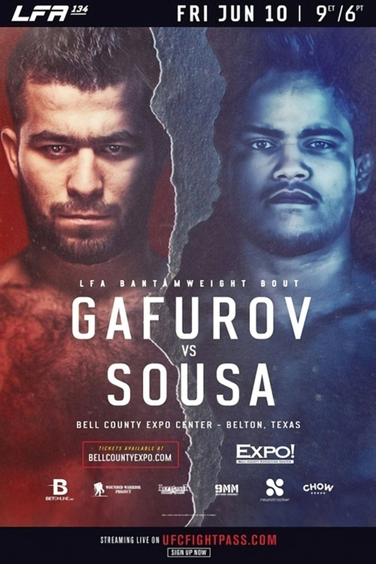 LFA 134 Backdrop