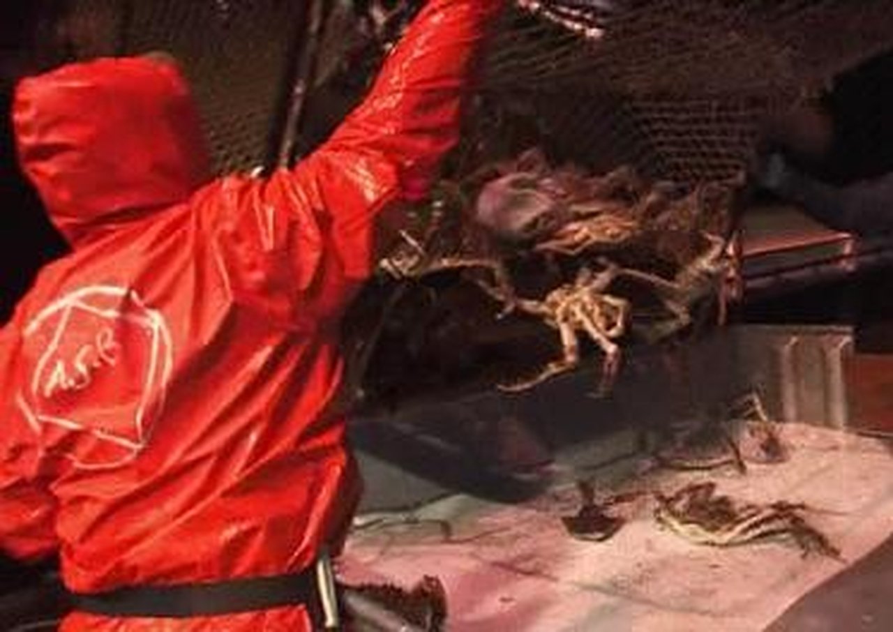 Deadliest Catch - Season 4 Episode 3 : A Numbers Game