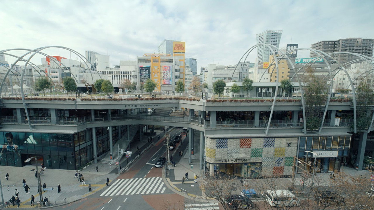 scenes 15