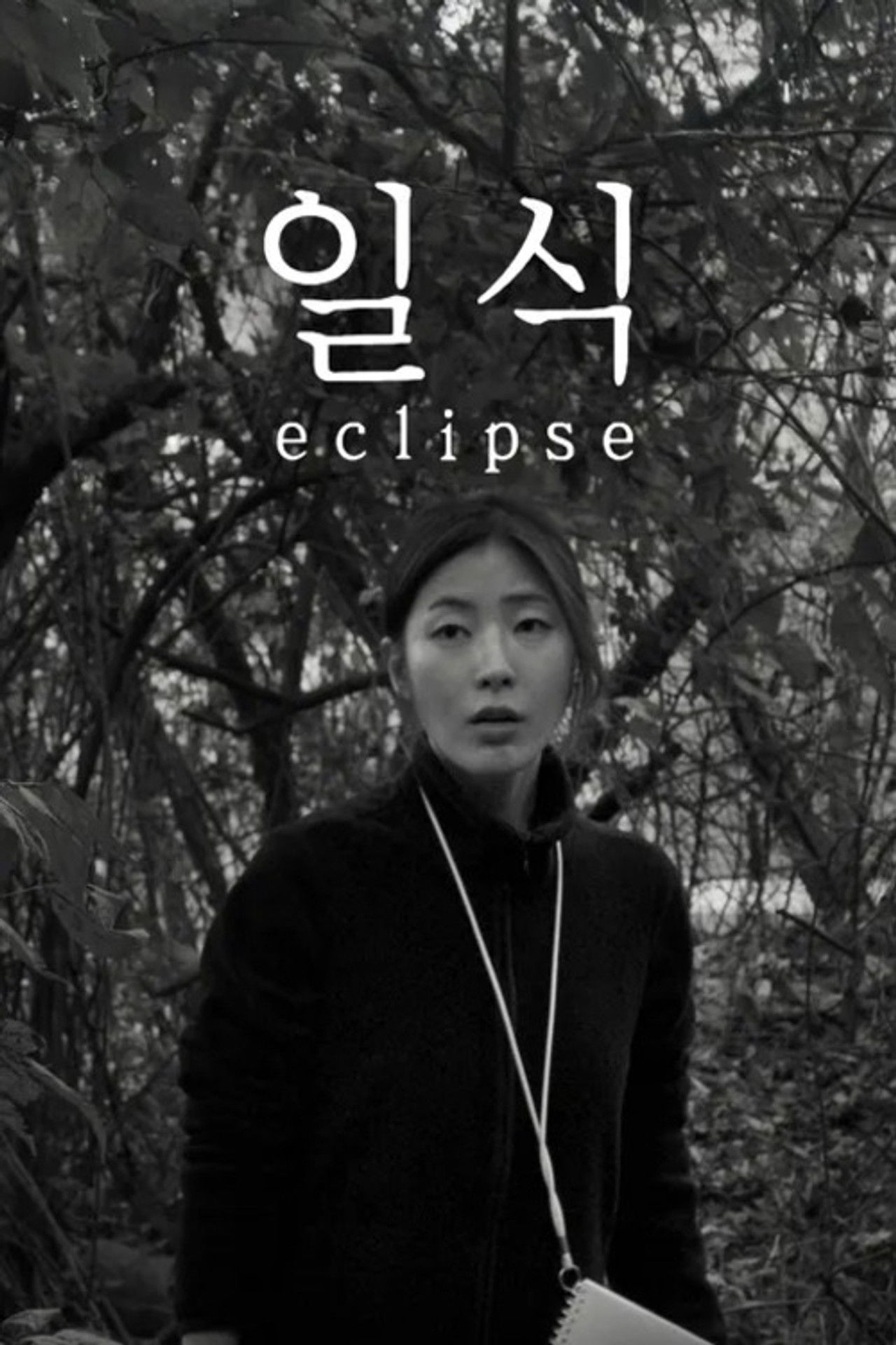 Eclipse poster