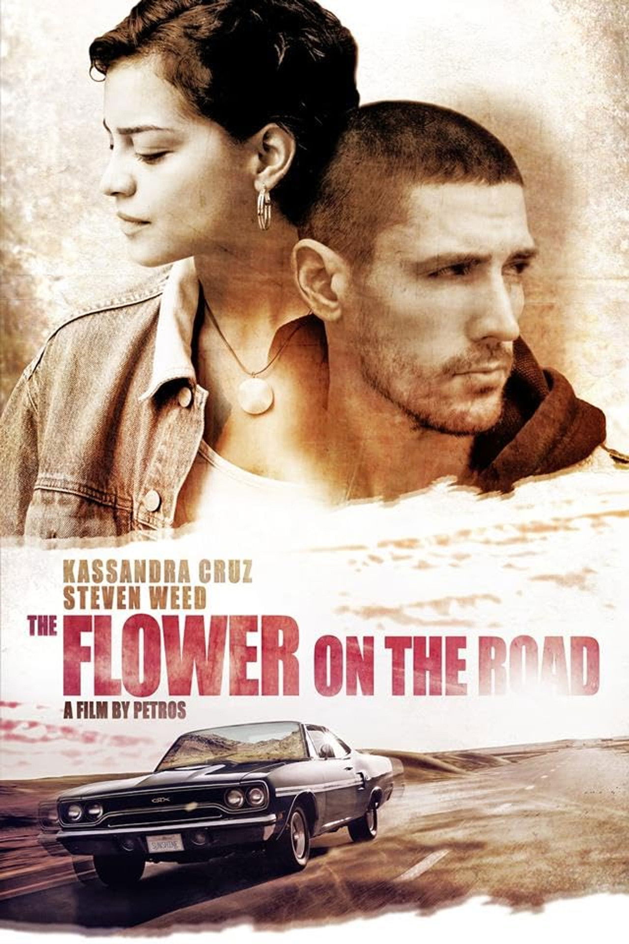 The Flower on the Road Backdrop