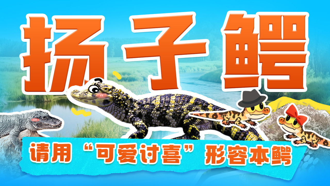 斑马百科探索 — Épisode 33