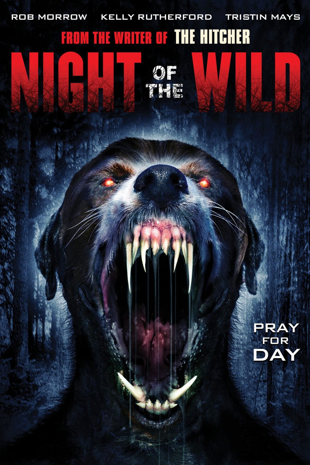 Night of the Wild Dublado Online