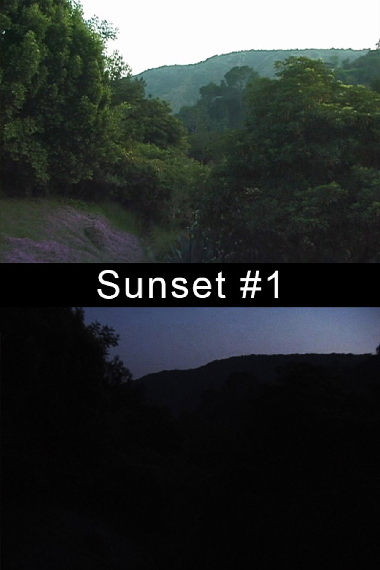 Sunset #1