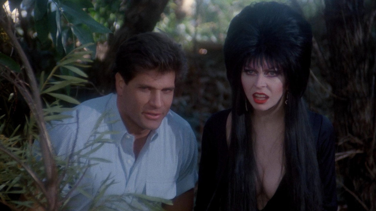 Elvira: Mistress of the Dark background 94