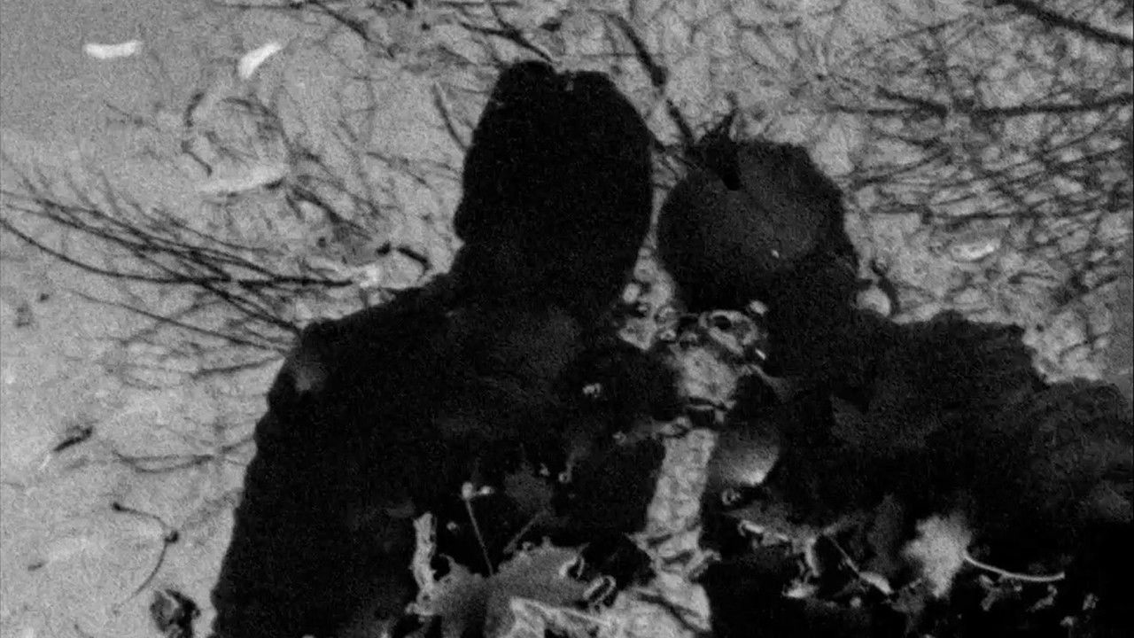 We Make Couples backdrop image