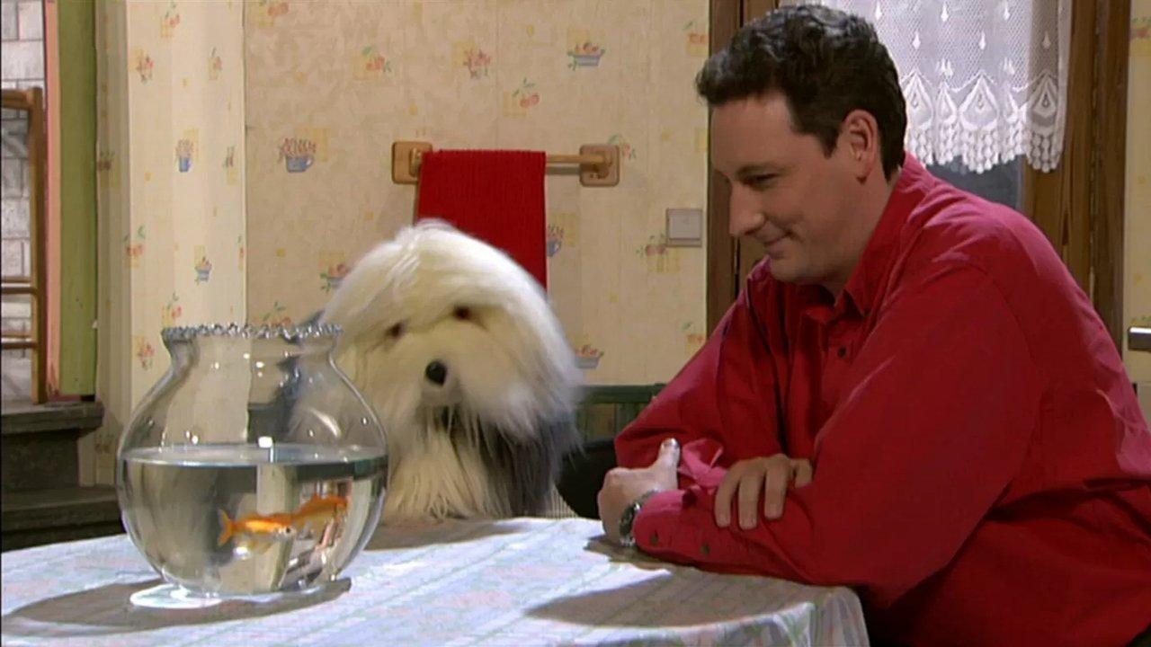 Samson & Gert - Season 14 Episode 18 : De kwaaie brief