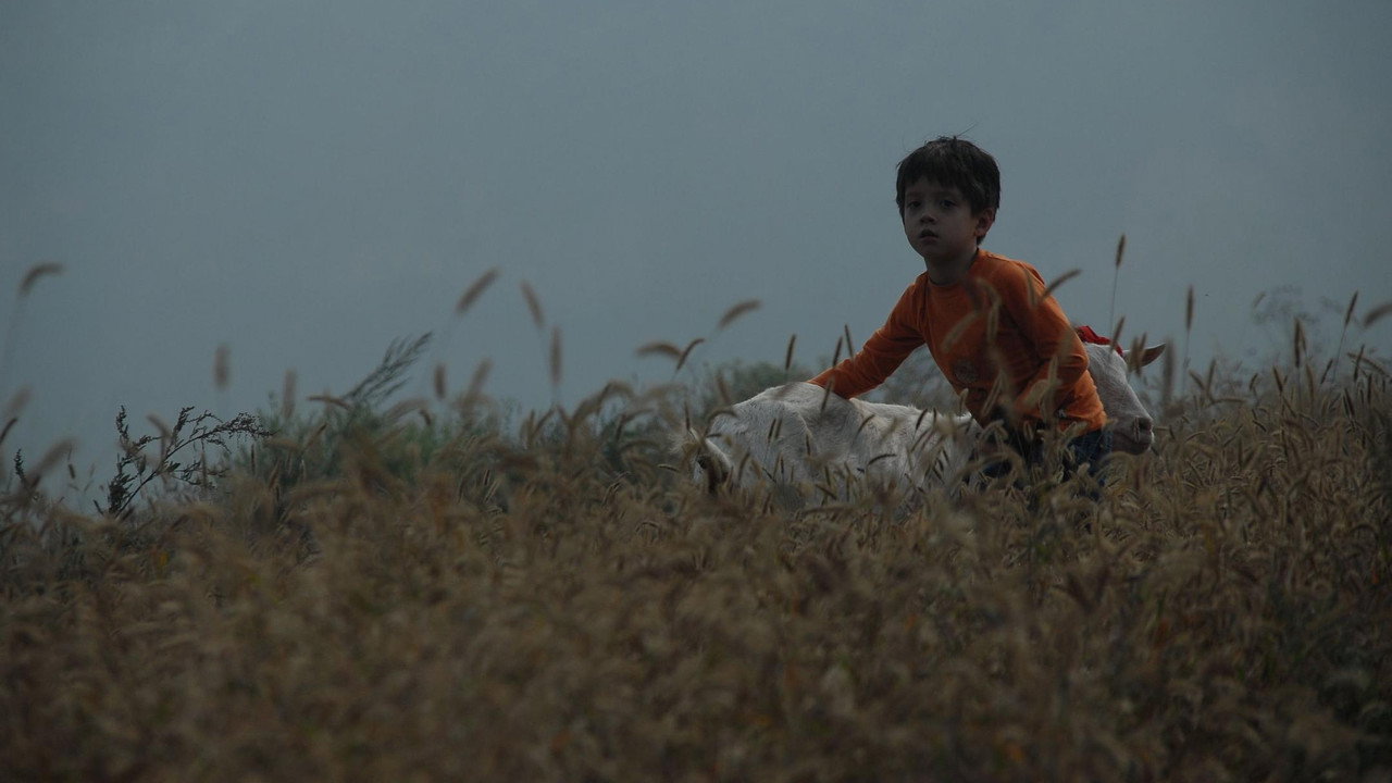 A Grandson from America still 5