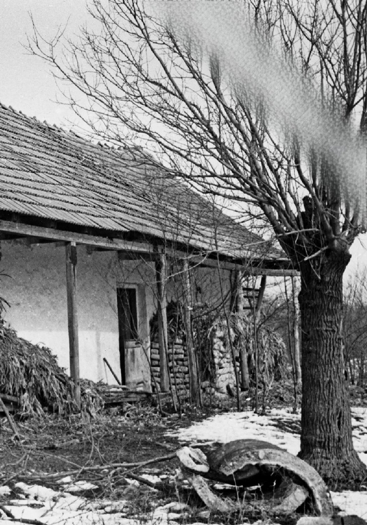 Bartók Béla: Az éjszaka zenéje filmaffisch