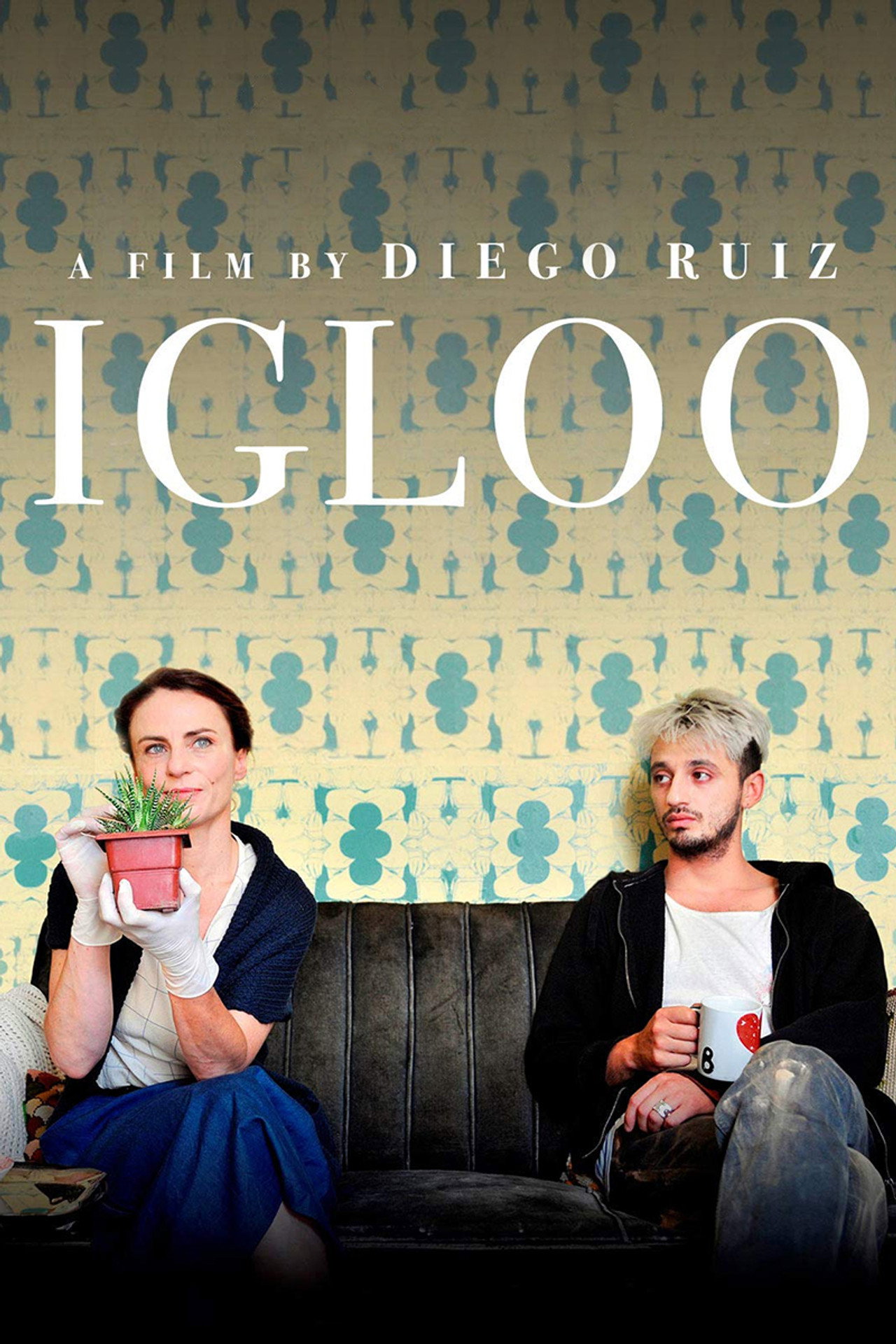 Igloo