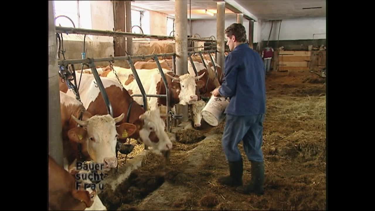 Bauer sucht Frau — Épisode 9