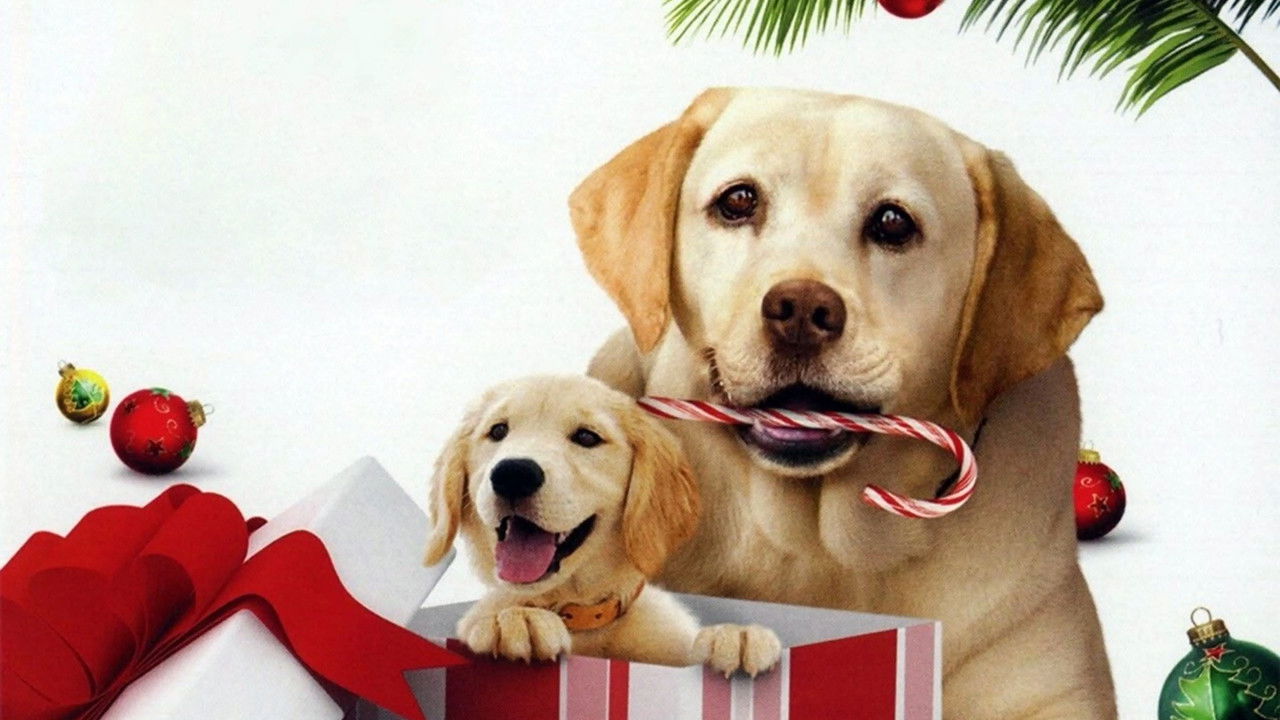 Le Chien qui a sauvé Noël
