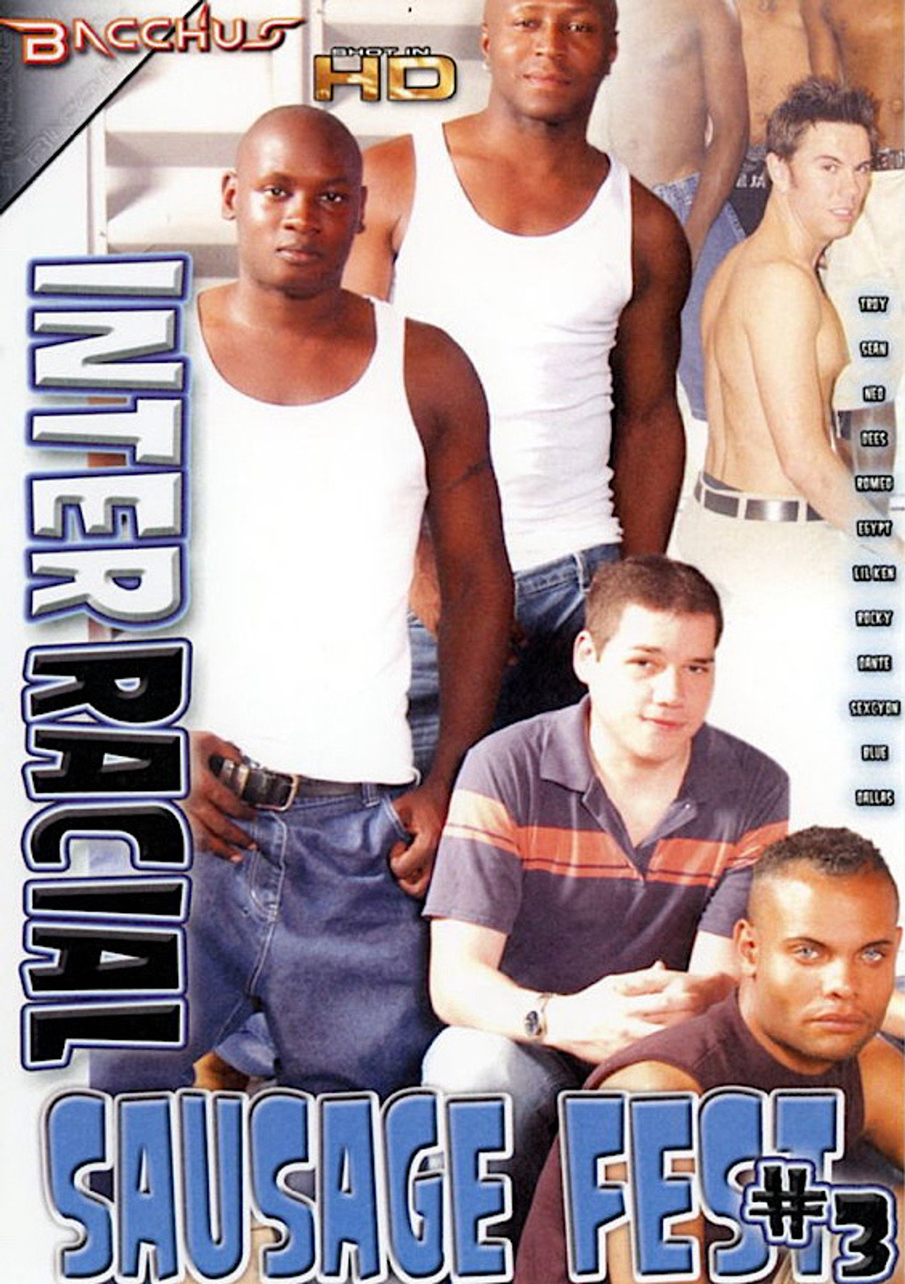 Interracial Sausage Fest 3 filmaffisch