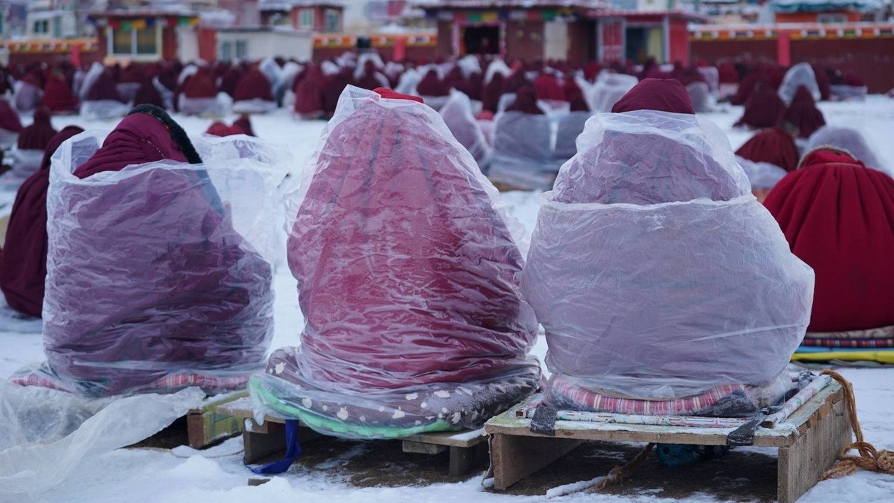 Immagine di copertina del trailer di Il respiro della foresta
