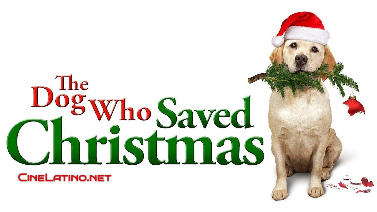 Scen från The Dog Who Saved the Holidays