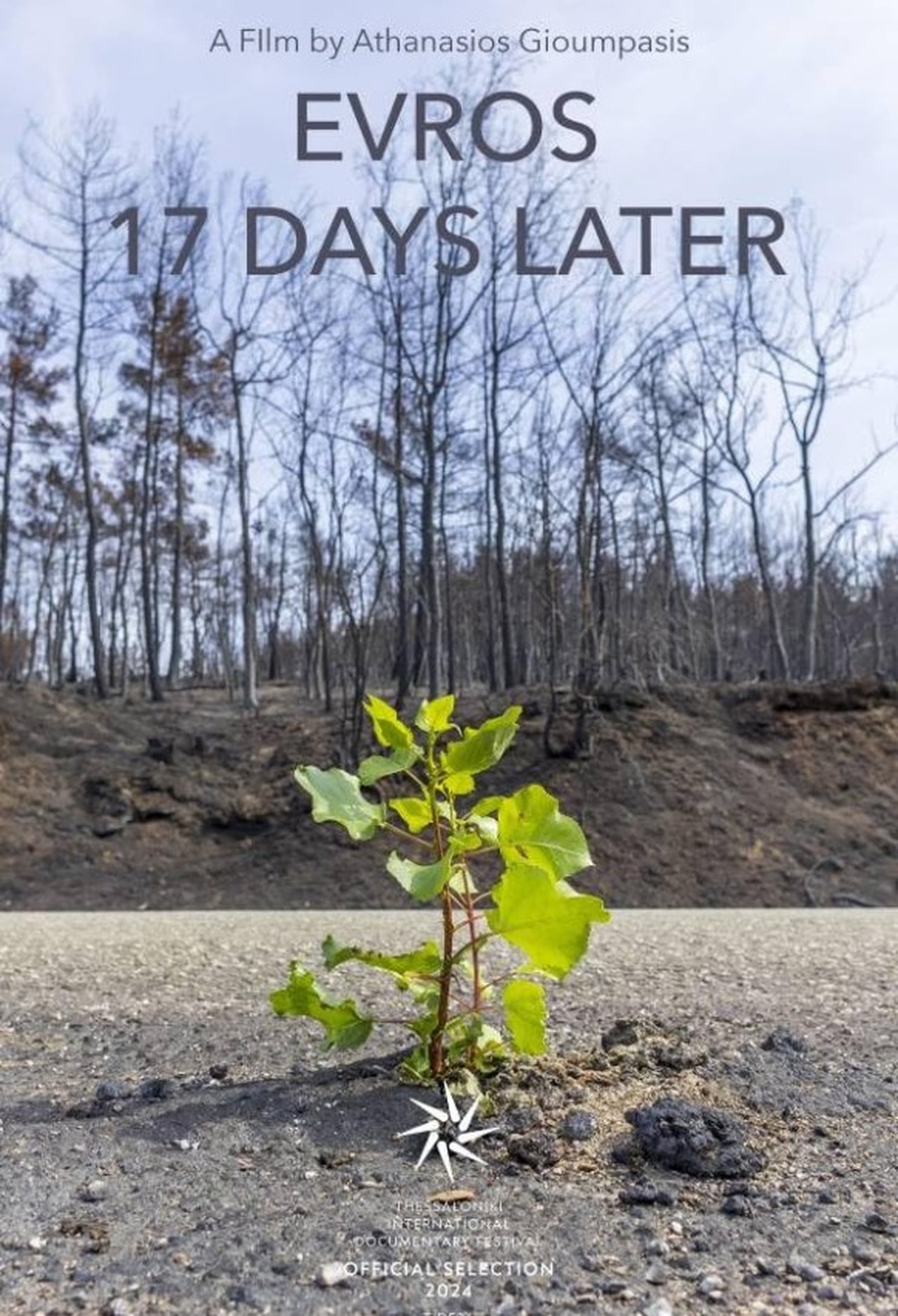 Έβρος 17 μέρες μετά poster