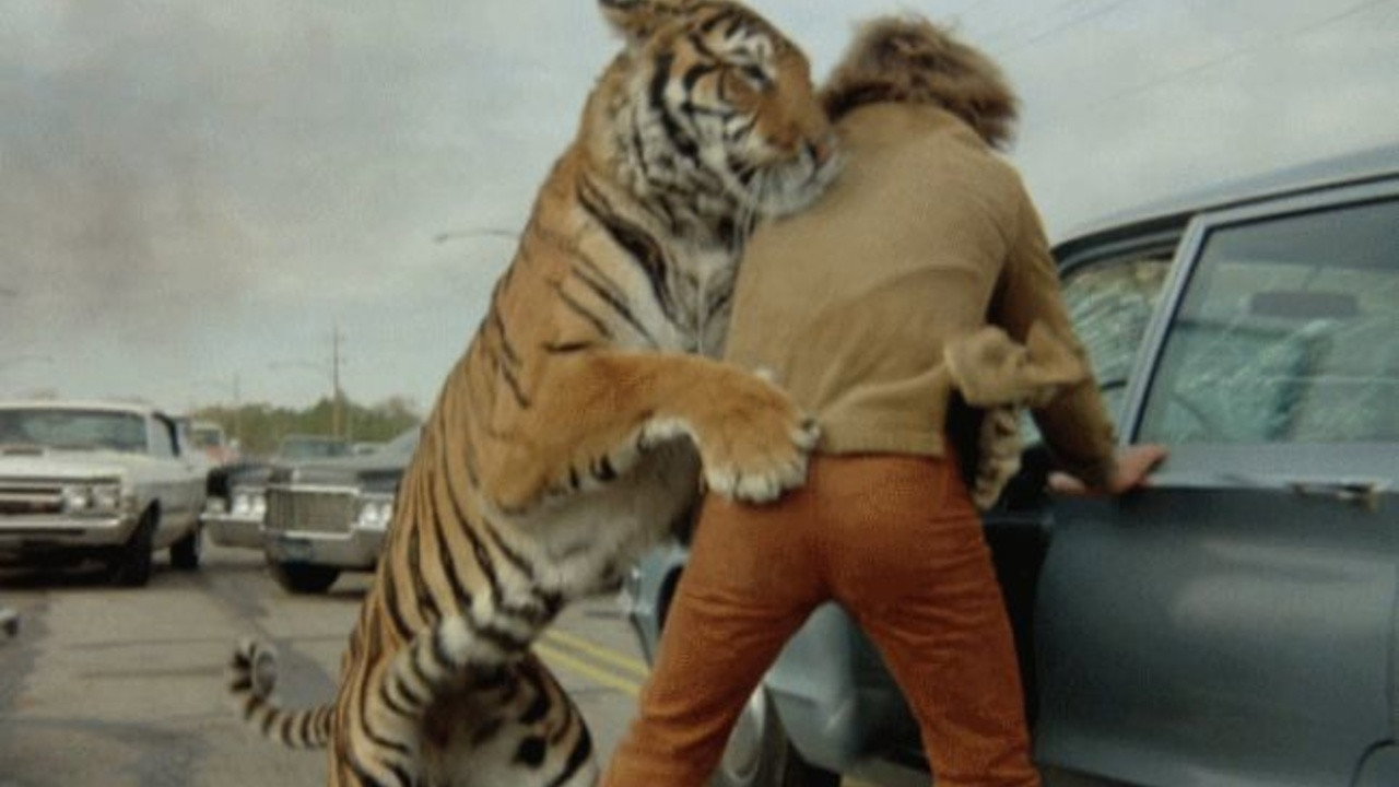 The Beasts Are on the Streets