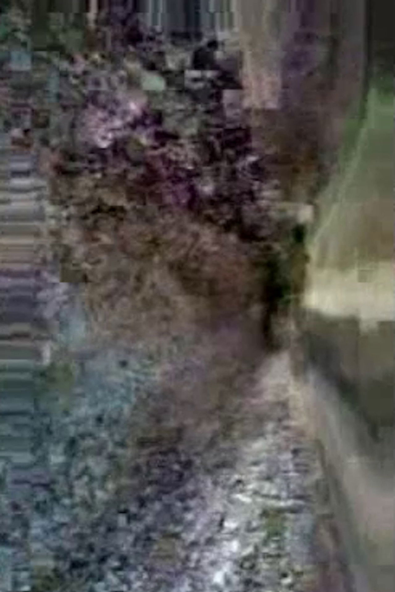 Preserving Cultural Traditions in a Period of Instability Backdrop