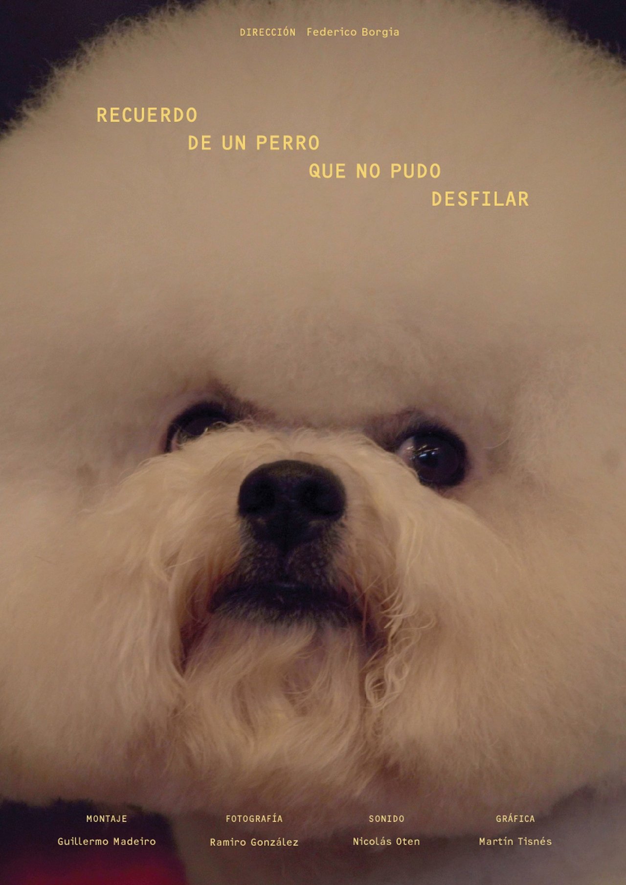 Recuerdo de un perro que no pudo desfilar Recuerdo de un perro que no pudo desfilar