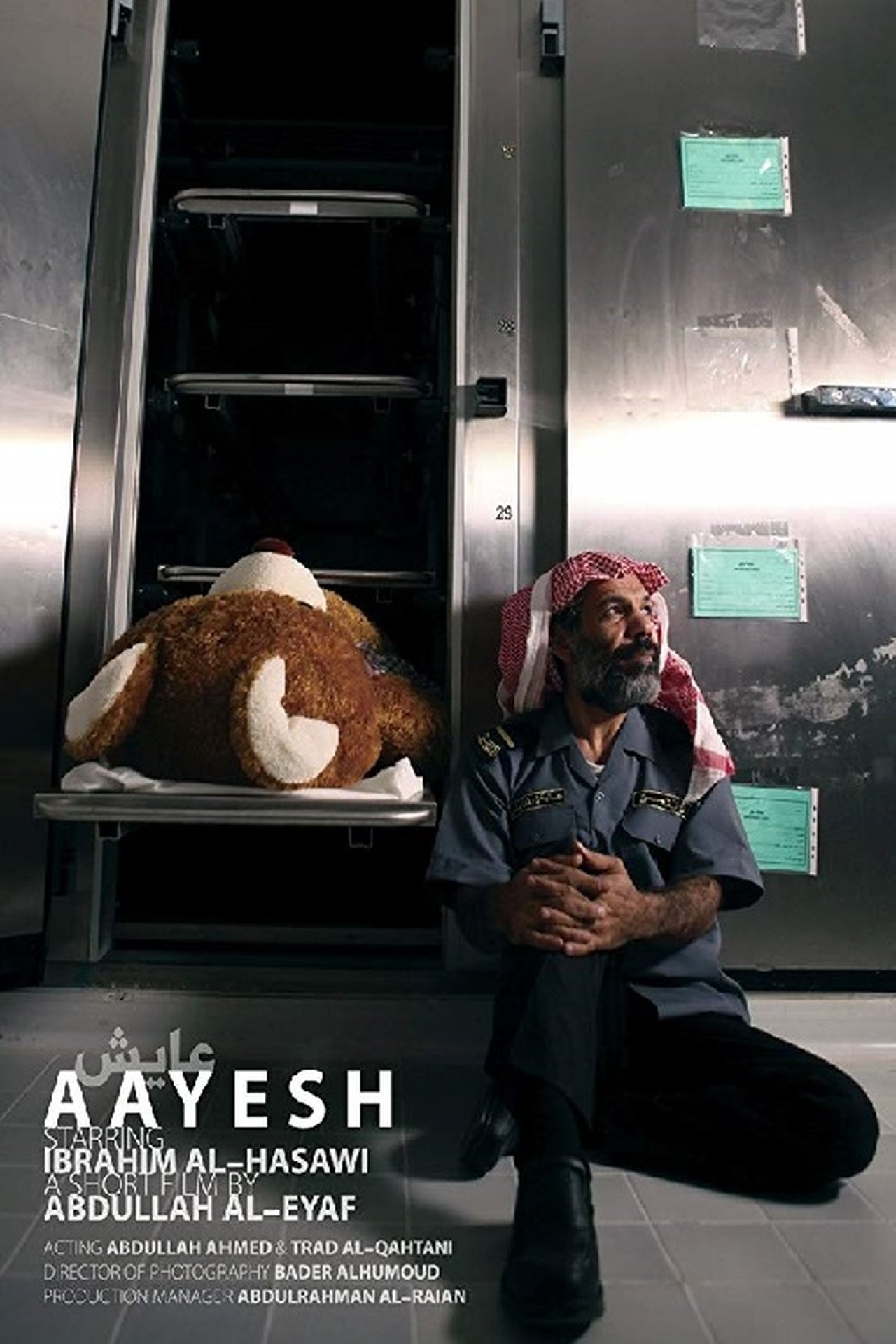 عايش عايش