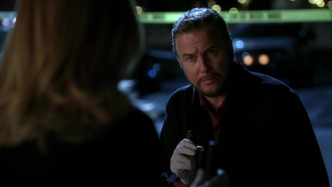 CSI: Crime Scene Investigation - Season 5 Episode 24 : Grave Danger (1)