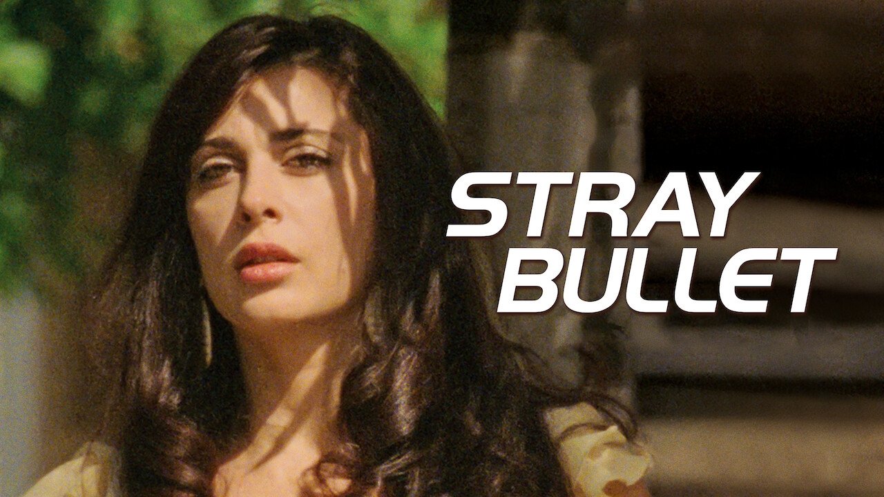 Stray Bullet
